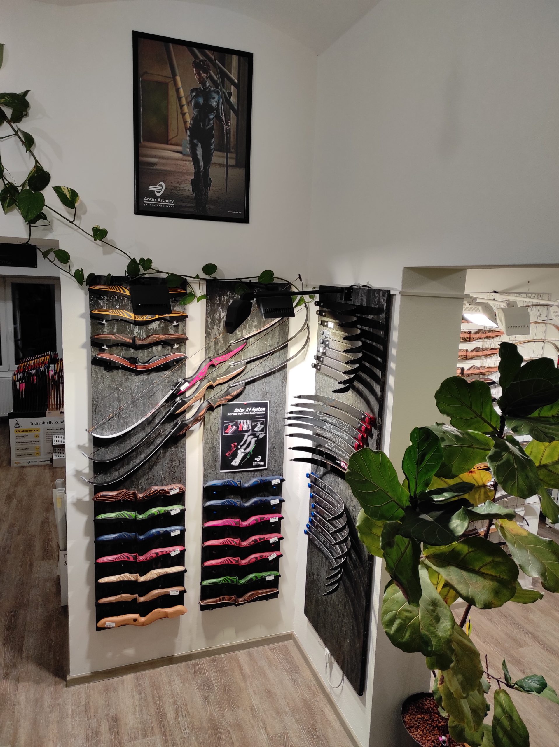 Große Produktvielfalt Große Produktvielfalt im Bogenshop Kärnten