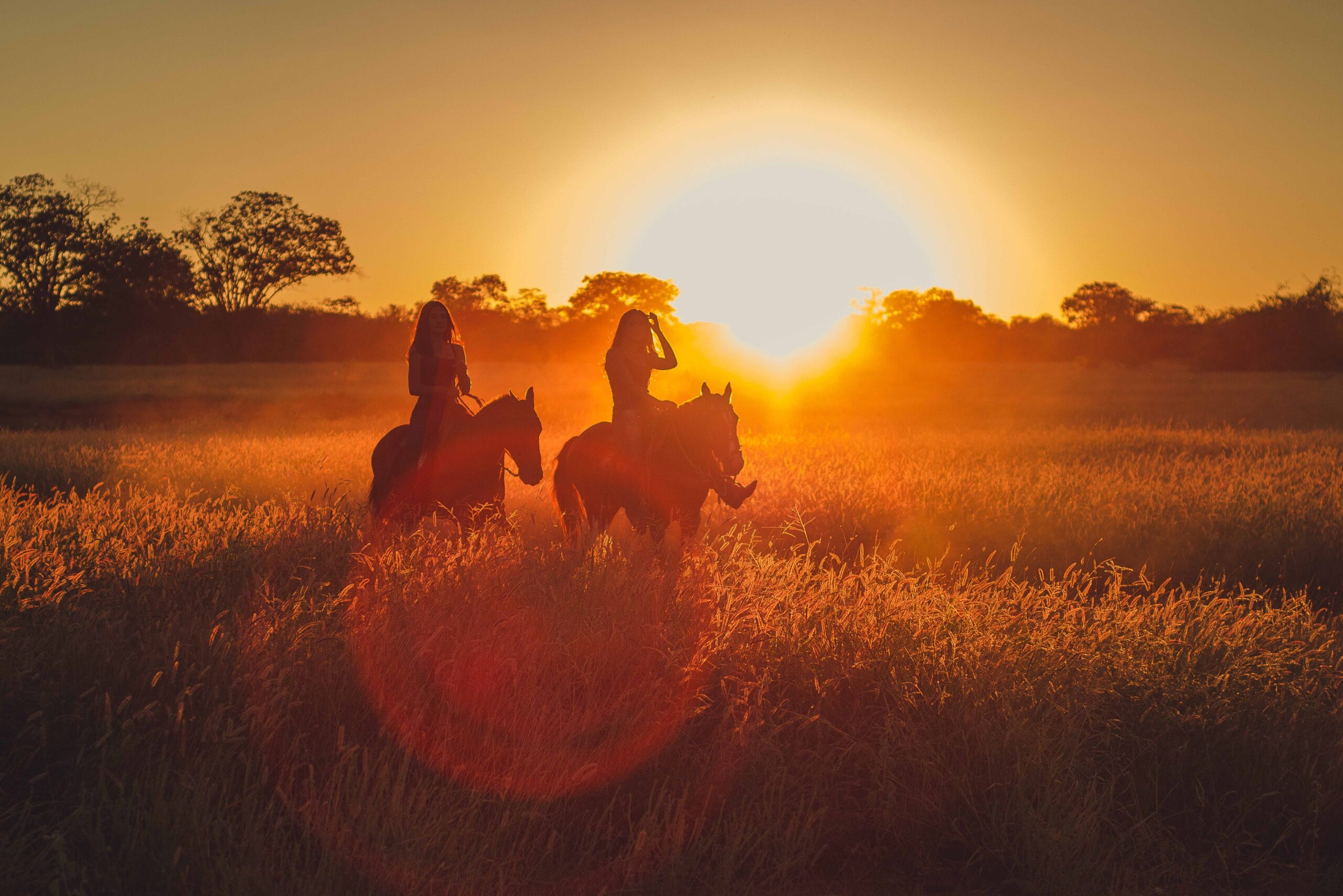 Reiten